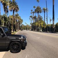 Отзыв от Борис - виза ДТВ