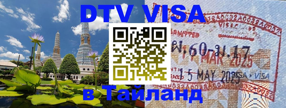Сколько стоит DTV виза — актуальные цены, оформление даже без документов - Йошкар-Ола  03.10.2025 